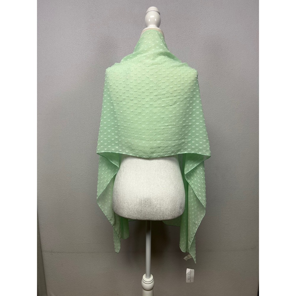 Pastel Preppy Christopher & Banks Womens OS Mint Green Swiss Dot Sheer Scarf